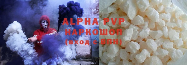 прущие грибы Александровское