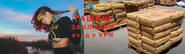 прущие грибы Александровское