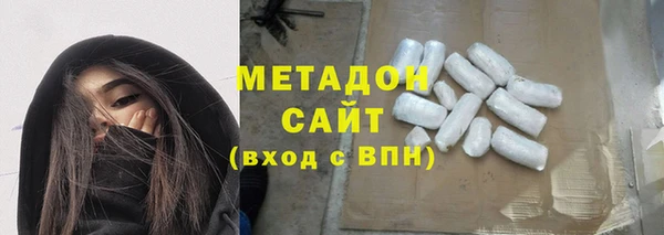 прущие грибы Александровское