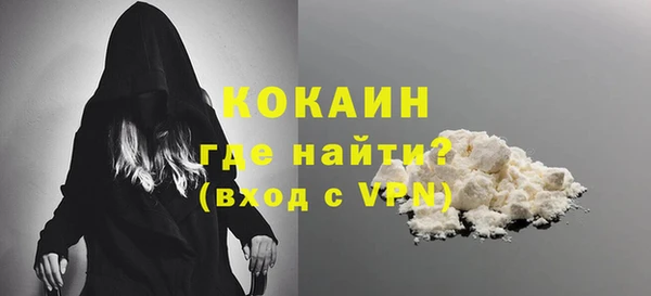 прущие грибы Александровское