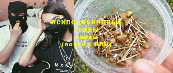 прущие грибы Александровское