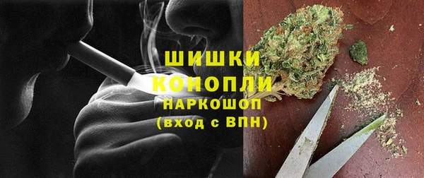 прущие грибы Александровское
