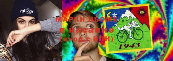 прущие грибы Александровское