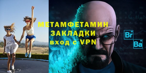 прущие грибы Александровское