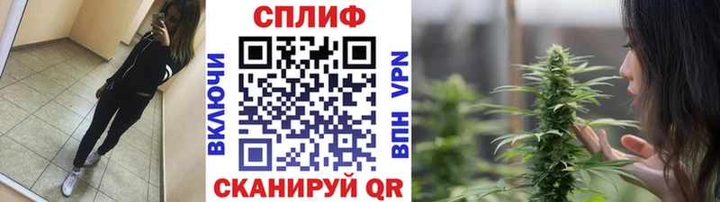 купить закладку  Алзамай  МАРИХУАНА Amnesia 